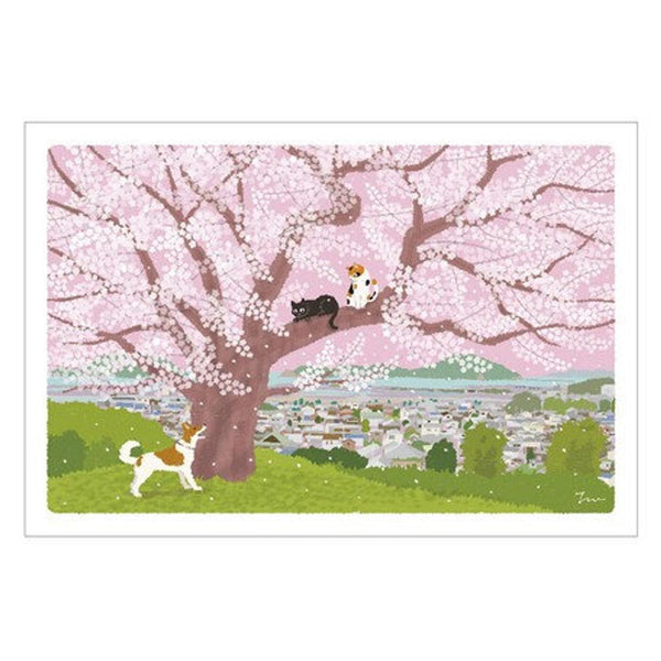 Tabineko Postcard with cats in Japan | spring – ZAKKAsine