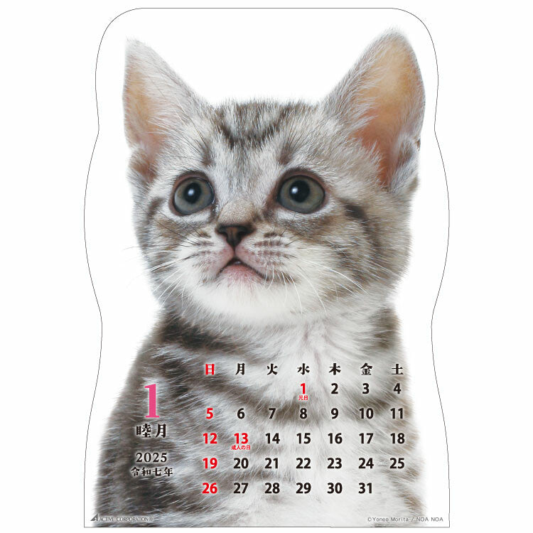 2025 Wall Calendar Cat