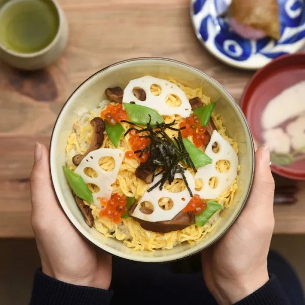 HASAMI Donburi Bowl