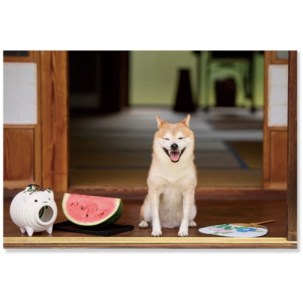 Summer postcard "Shiba Inu and Watermelon"